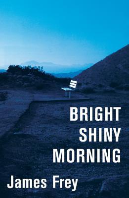 Bright Shiny Morning by James Frey